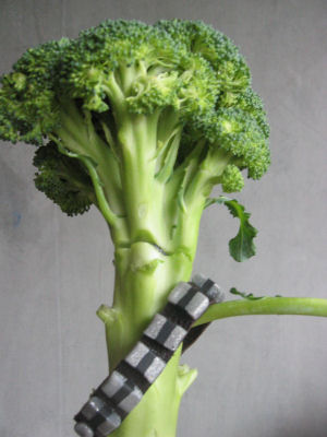 Chewbroccoli