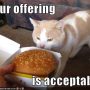 Your offering is acceptable